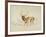 Stag (Pen & Brown Ink & Brown Wash on Cream Wove Paper)-Edwin Landseer-Framed Giclee Print
