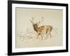 Stag (Pen & Brown Ink & Brown Wash on Cream Wove Paper)-Edwin Landseer-Framed Giclee Print