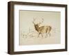 Stag (Pen & Brown Ink & Brown Wash on Cream Wove Paper)-Edwin Landseer-Framed Giclee Print