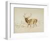 Stag (Pen & Brown Ink & Brown Wash on Cream Wove Paper)-Edwin Landseer-Framed Giclee Print