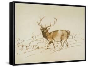 Stag (Pen & Brown Ink & Brown Wash on Cream Wove Paper)-Edwin Landseer-Framed Stretched Canvas
