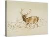 Stag (Pen & Brown Ink & Brown Wash on Cream Wove Paper)-Edwin Landseer-Stretched Canvas