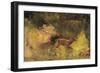 Stag Running Through a Wood, c.1865-Gustave Courbet-Framed Giclee Print