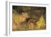 Stag Running Through a Wood, c.1865-Gustave Courbet-Framed Giclee Print