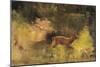 Stag Running Through a Wood, c.1865-Gustave Courbet-Mounted Giclee Print