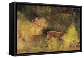 Stag Running Through a Wood, c.1865-Gustave Courbet-Framed Stretched Canvas