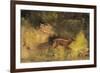 Stag Running Through a Wood, c.1865-Gustave Courbet-Framed Giclee Print