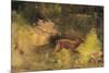 Stag Running Through a Wood, c.1865-Gustave Courbet-Mounted Giclee Print