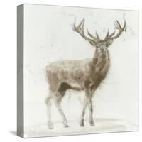 Stag v.2-James Wiens-Stretched Canvas