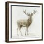 Stag v.2-James Wiens-Framed Art Print