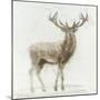 Stag v.2-James Wiens-Mounted Art Print