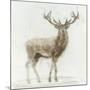 Stag v.2-James Wiens-Mounted Art Print