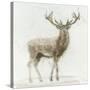 Stag v.2-James Wiens-Stretched Canvas