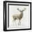 Stag v.2-James Wiens-Framed Art Print