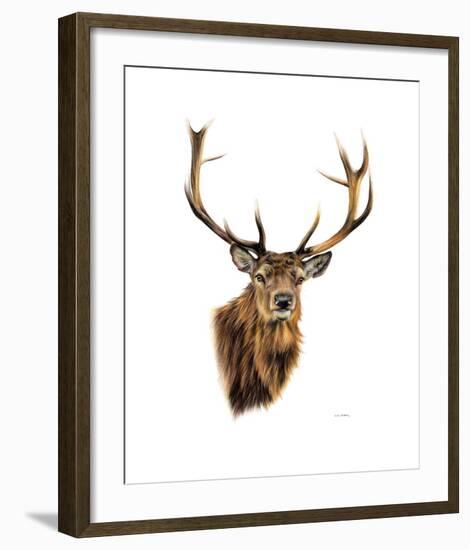 Stag White Background-Sarah Stribbling-Framed Art Print