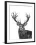 Stag-null-Framed Giclee Print