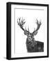 Stag-null-Framed Giclee Print