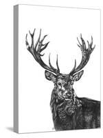 Stag-null-Stretched Canvas