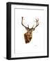 Stag-Sarah Stribbling-Framed Art Print