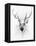 Stag-Alexis Marcou-Framed Stretched Canvas
