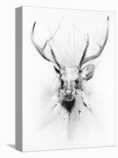 Stag-Alexis Marcou-Stretched Canvas