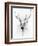 Stag-Alexis Marcou-Framed Art Print