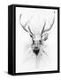 Stag-Alexis Marcou-Framed Stretched Canvas