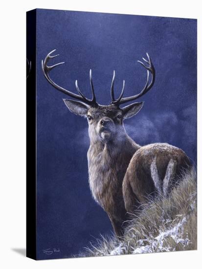 Stag-Jeremy Paul-Stretched Canvas