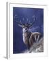 Stag-Jeremy Paul-Framed Giclee Print