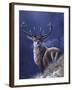 Stag-Jeremy Paul-Framed Giclee Print