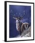 Stag-Jeremy Paul-Framed Giclee Print