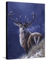 Stag-Jeremy Paul-Stretched Canvas