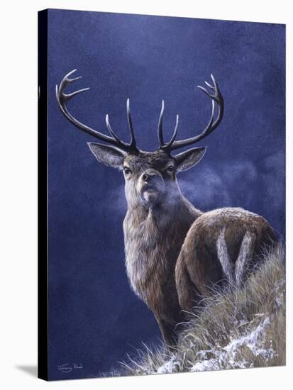 Stag-Jeremy Paul-Stretched Canvas
