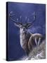 Stag-Jeremy Paul-Stretched Canvas