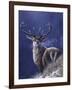 Stag-Jeremy Paul-Framed Giclee Print