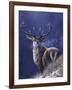 Stag-Jeremy Paul-Framed Giclee Print