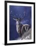 Stag-Jeremy Paul-Framed Giclee Print