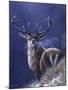 Stag-Jeremy Paul-Mounted Giclee Print