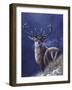 Stag-Jeremy Paul-Framed Giclee Print