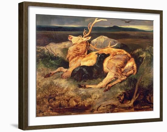 Stag-Edwin Henry Landseer-Framed Giclee Print