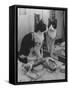 Stage Cat-Godfrey Thurston Hopkins-Framed Stretched Canvas