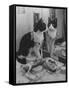 Stage Cat-Godfrey Thurston Hopkins-Framed Stretched Canvas