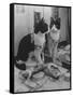 Stage Cat-Godfrey Thurston Hopkins-Framed Stretched Canvas