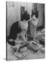 Stage Cat-Godfrey Thurston Hopkins-Stretched Canvas