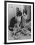 Stage Cat-Godfrey Thurston Hopkins-Framed Photographic Print