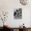 Stage Cat-Godfrey Thurston Hopkins-Photographic Print displayed on a wall