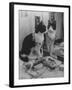 Stage Cat-Godfrey Thurston Hopkins-Framed Photographic Print