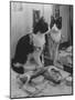 Stage Cat-Godfrey Thurston Hopkins-Mounted Photographic Print