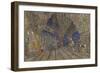 Stage Design for the Opera the Golden Cockerel by N. Rimsky-Korsakov-Konstantin Alexeyevich Korovin-Framed Giclee Print