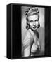 Framed Canvas